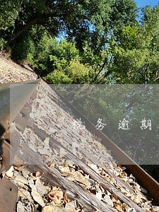 税务逾期费用账务处理 税务逾期费用账务处理