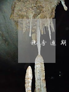 税务逾期转让 税务逾期转让