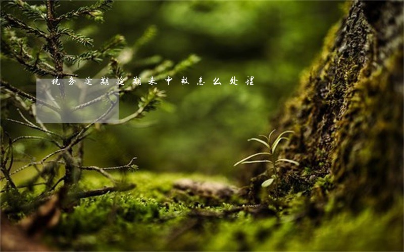 税务逾期逾期未申报怎么处理 税务逾期逾期未申报怎么处理