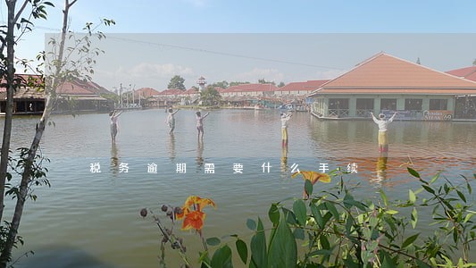 税务逾期需要什么手续 税务逾期需要什么手续