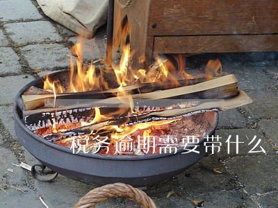税务逾期需要带什么 税务逾期需要带什么