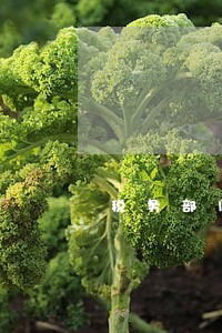 税务部门二次逾期申报处罚率 税务部门二次逾期申报处罚率