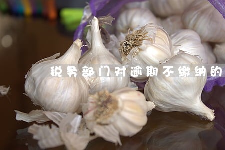 税务部门对逾期不缴纳的单位 税务部门对逾期不缴纳的单位