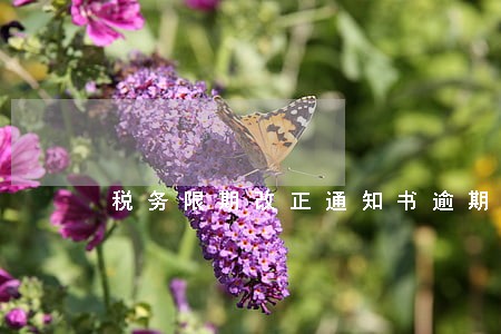 税务限期改正通知书逾期半年 税务限期改正通知书逾期半年
