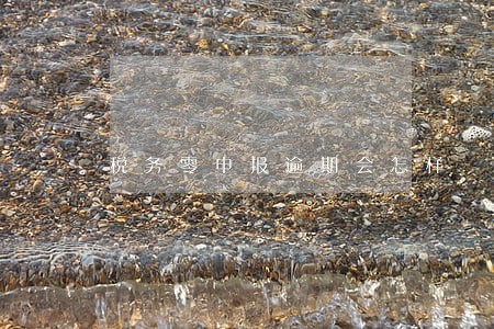 税务零申报逾期会怎样 税务零申报逾期会怎样
