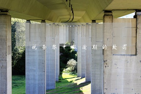 税务零申报逾期的处罚