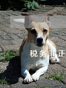税务非正常户逾期处罚 税务非正常户逾期处罚