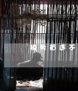 税务首违不罚二次逾期 税务首违不罚二次逾期