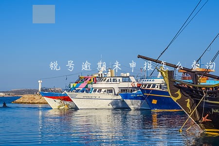 税号逾期未申报怎么查询 税号逾期未申报怎么查询