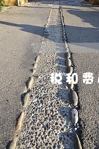 税和费逾期的后果 税和费逾期的后果