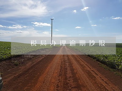 税局办理逾期抄报 税局办理逾期抄报