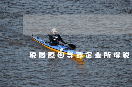 税局原因导致企业所得税逾期 税局原因导致企业所得税逾期