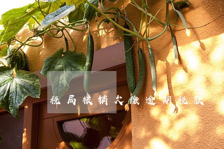 税局核销欠缴逾期税款 税局核销欠缴逾期税款