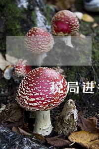 税局进行逾期抄报税 税局进行逾期抄报税