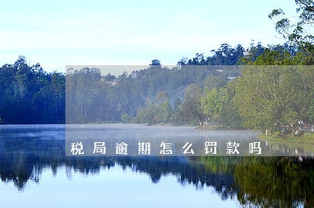 税局逾期怎么罚款吗 税局逾期怎么罚款吗