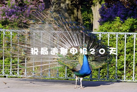 税局逾期申报20天 税局逾期申报20天