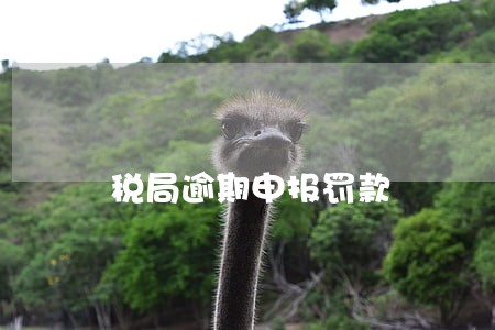 税局逾期申报罚款 税局逾期申报罚款