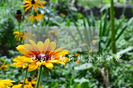 税局逾期罚款会计分录 税局逾期罚款会计分录
