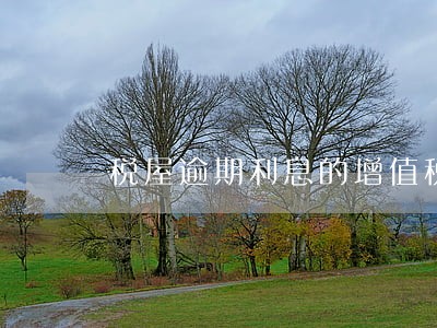 税屋逾期利息的增值税处理问题 税屋逾期利息的增值税处理问题