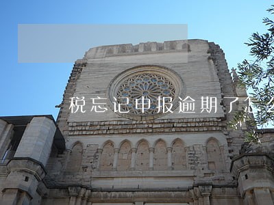 税忘记申报逾期了怎么办 税忘记申报逾期了怎么办