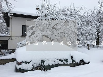 税忘记申报逾期了罚多少 税忘记申报逾期了罚多少