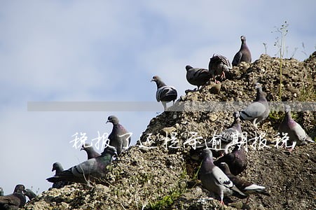 税报了还提示逾期报税