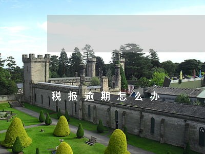 税报逾期怎么办
