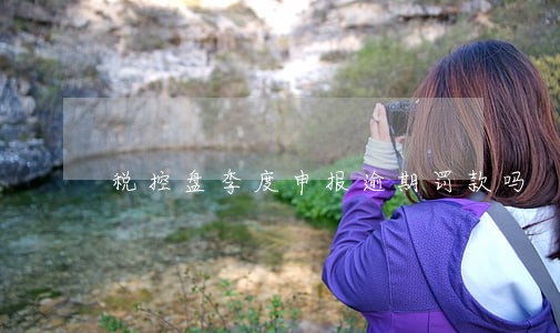 税控盘季度申报逾期罚款吗 税控盘季度申报逾期罚款吗