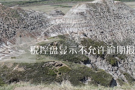 税控盘显示不允许逾期报税 税控盘显示不允许逾期报税