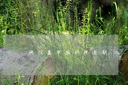 税控盘申报纳税逾期 税控盘申报纳税逾期