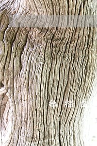 税控盘申报逾期罚款 税控盘申报逾期罚款