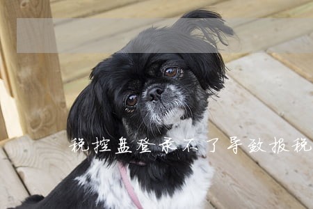 税控盘登录不了导致报税逾期 税控盘登录不了导致报税逾期