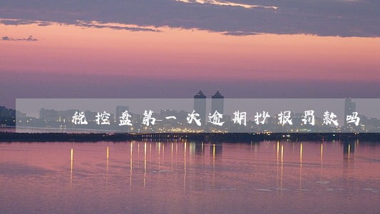 税控盘第一次逾期抄报罚款吗 税控盘第一次逾期抄报罚款吗