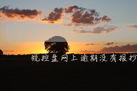 税控盘网上逾期没有报抄 税控盘网上逾期没有报抄