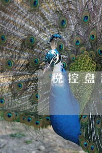 税控盘逾期10天未反写罚款多少 税控盘逾期10天未反写罚款多少
