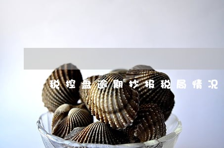 税控盘逾期抄报税局情况说明