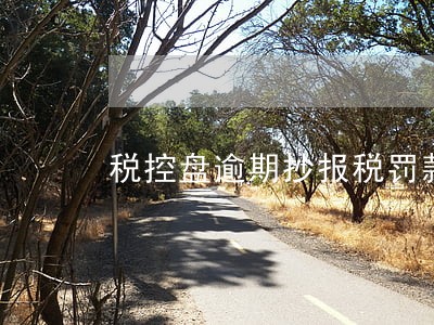税控盘逾期抄报税罚款吗 税控盘逾期抄报税罚款吗