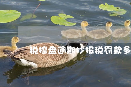 税控盘逾期抄报税罚款多少 税控盘逾期抄报税罚款多少