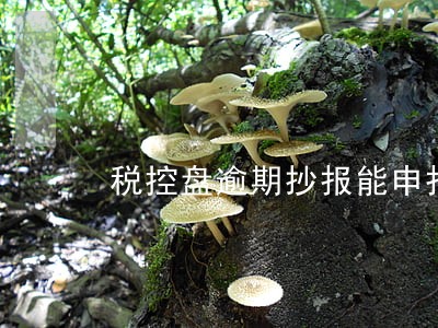 税控盘逾期抄报能申报增值税不 税控盘逾期抄报能申报增值税不