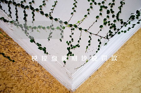 税控盘逾期抄税罚款 税控盘逾期抄税罚款