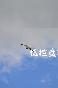 税控盘逾期抄税罚款多少 税控盘逾期抄税罚款多少