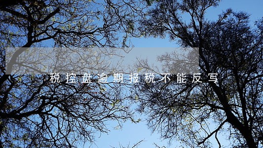 税控盘逾期报税不能反写 税控盘逾期报税不能反写
