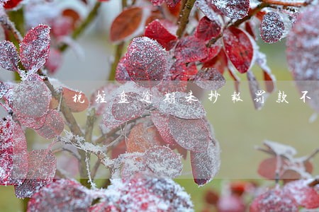 税控盘逾期未抄报罚款不交 税控盘逾期未抄报罚款不交