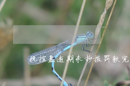 税控盘逾期未抄报罚款完税证明 税控盘逾期未抄报罚款完税证明