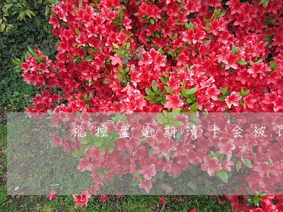 税控盘逾期清卡会被罚款吗 税控盘逾期清卡会被罚款吗