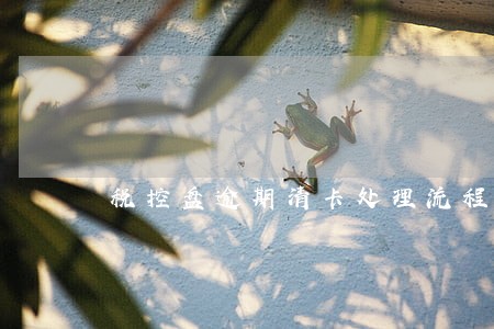 税控盘逾期清卡处理流程 税控盘逾期清卡处理流程