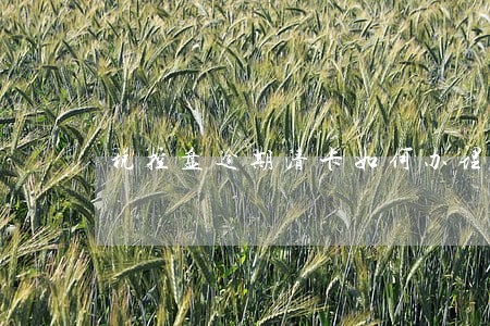 税控盘逾期清卡如何办理