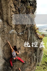 税控盘逾期清卡罚款多少 税控盘逾期清卡罚款多少