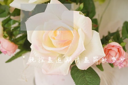 税控盘逾期清盘罚款多少 税控盘逾期清盘罚款多少