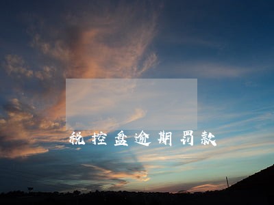 税控盘逾期罚款